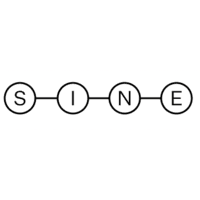 SINE Foundation